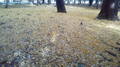 2015121112570000.jpg