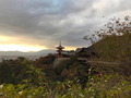 IMG_6672.jpg